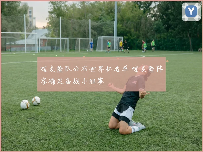 喀麦隆队公布世界杯名单 喀麦隆阵容确定备战小组赛