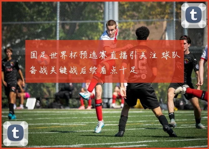 国足世界杯预选赛直播引关注 球队备战关键战后续看点十足