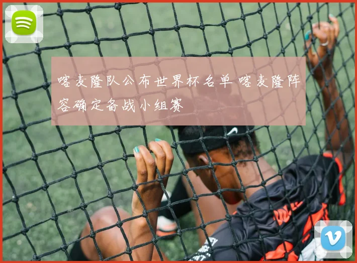 喀麦隆队公布世界杯名单 喀麦隆阵容确定备战小组赛